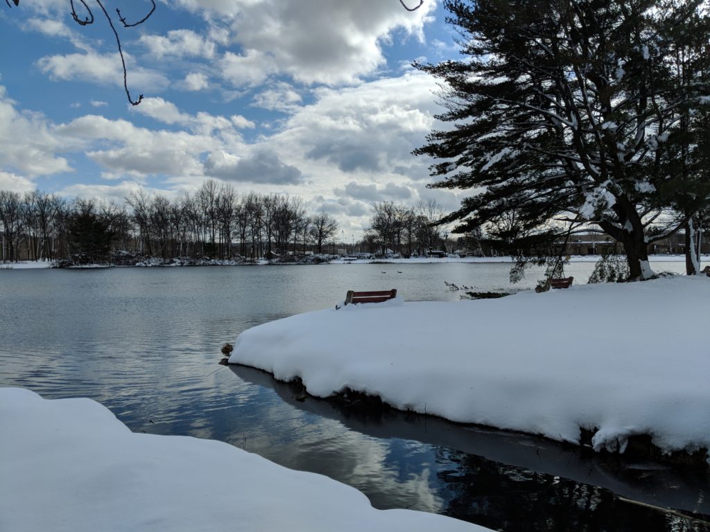 Horseshoe Lake Winter Scene